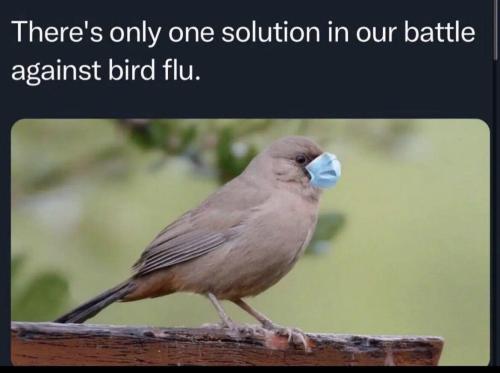 image_E0C6EF42-4823-4720-87C3-A7EC6E09D10E