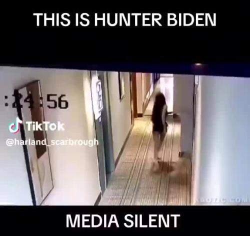 This is Hunter Biden video cover