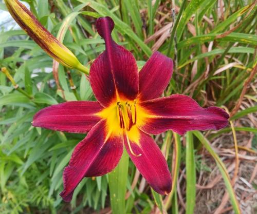 d9cf28a9-2673-4342-a678-f47f5d4ebbea