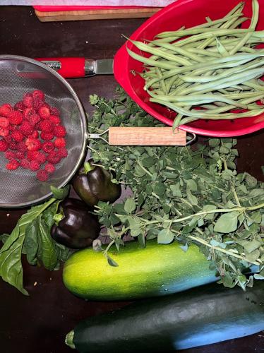 090EBE60-E656-46F9-9FB0-6A966D965F17