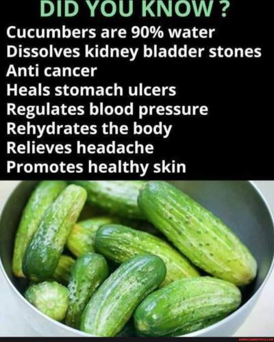 0abbd50dbad83ad332a7aaf2abbb979bd1c6f5ca82f3a3060c600eccb1967be1_1