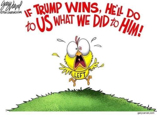 image_1D18CEC6-ECB7-4C39-A854-BDF5622EF3E2