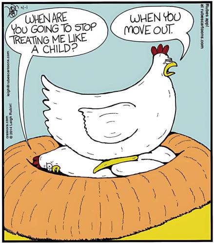 FB_IMG_1718338982270