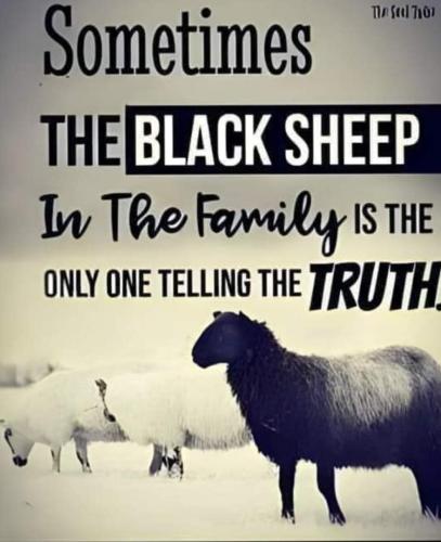 black sheep