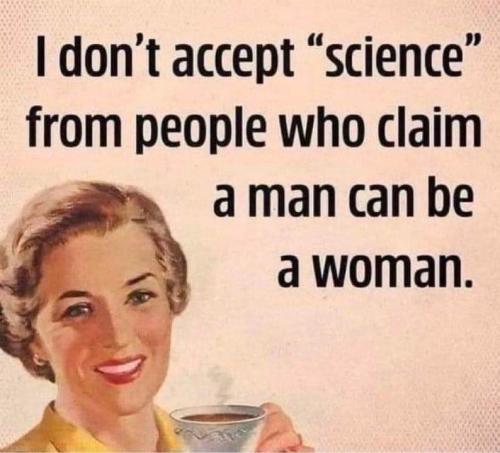 FB_IMG_1719182966604