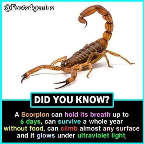 FB_IMG_1719323756075