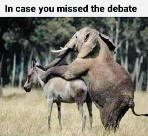 image_AF62B1F5-7508-4421-8513-C6E44AD9FF05