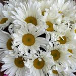 358510022_789329739319049_8685846524803641467_n