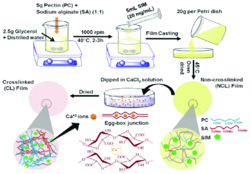 pectin-and-sodium-alginate-film-preparation-and-crosslinking-process-forming