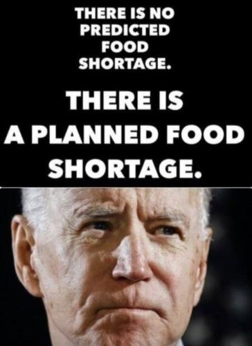 photo_2024-06-15_19-02-50