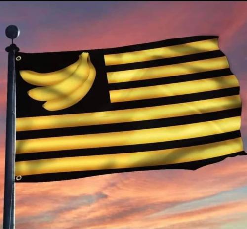 446961101_8326226277405025_897909235390924817_n