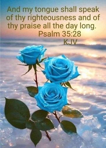 729f03e3-3c5d-4513-82f4-1a63d100e747