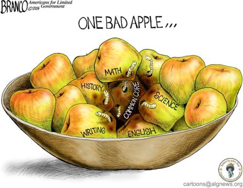 Common core branco