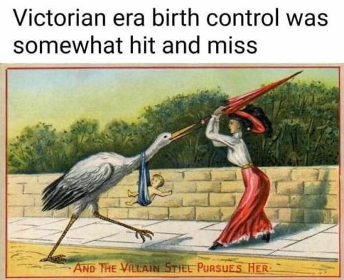 447701887_10168815367610574_2355422574237558408_n