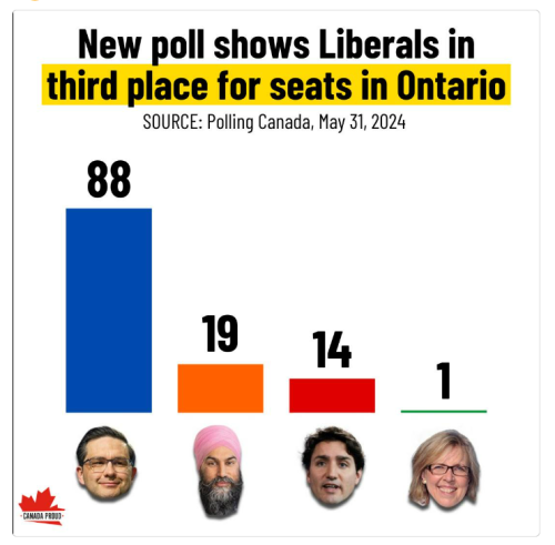 poll May 31 2024