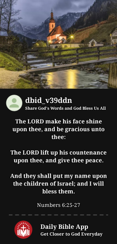 2024-06-041717536995339