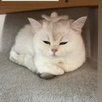 279239677_312314297546821_8251019499424038381_n