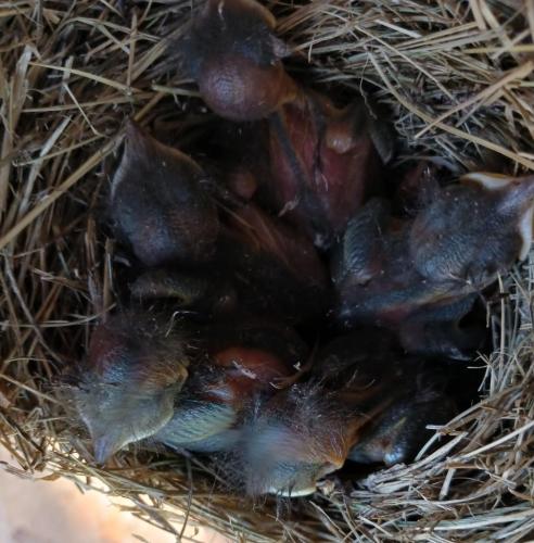 c0eda358-cfe1-41fe-a9a9-58e0107c0045