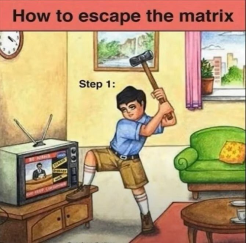 image_2024-06-22_081501280