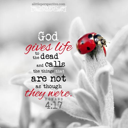 FAITH - Romans 4.17
