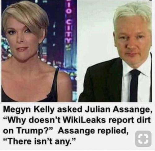 JULIAN ASSANGE TRUMP
