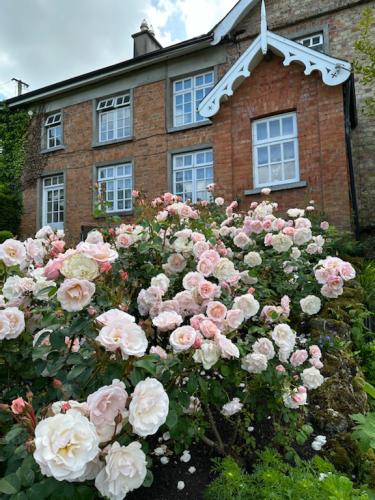 285A833B-92A4-40AF-B55B-3407D0232DC4