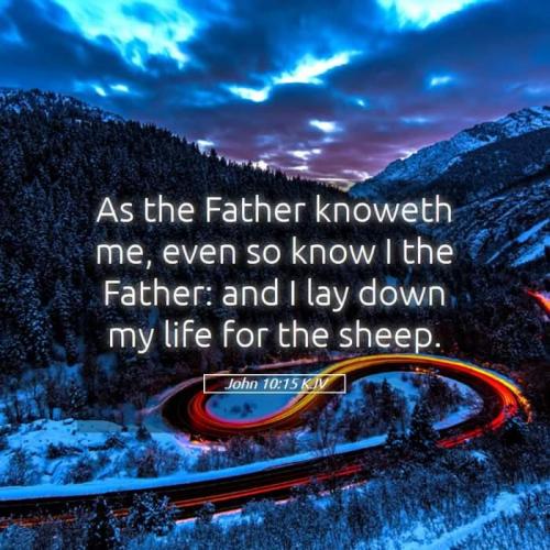 da937a78-516c-4b6a-a40c-b589a226e097