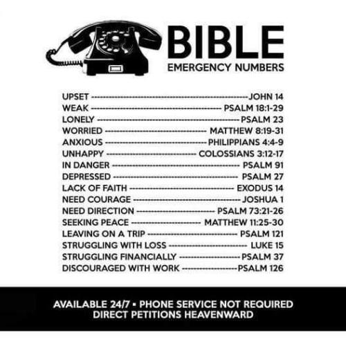 0ab43d19-c3e7-4a3d-8eaf-a11946503091