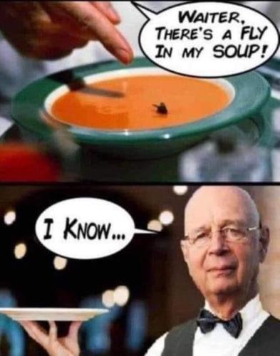 klaus fly in my soup