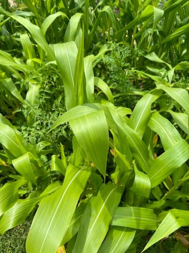 04A1CEB2-CDFC-45C3-A688-C7A8CD8C89BA