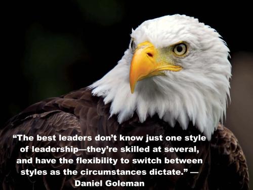 1-Eagle Leadership Styles