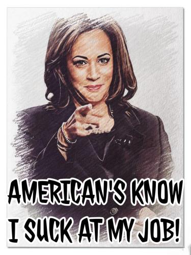 447886377_430193919785475_6331139223630740528_n