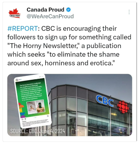 horny newsletter