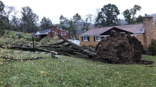 d4561e9f-e126-4d8f-9da2-0e7fcf5193d8