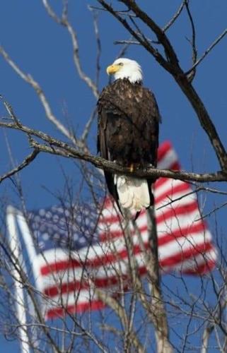 FB_IMG_1718151745398