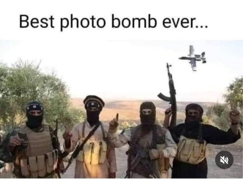 image_920976B8-9CC0-42FF-BD3D-833E95A8E180