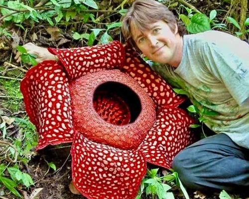 FB_IMG_1719761838216