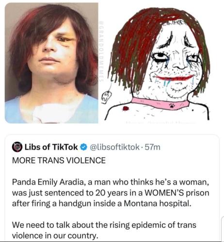 image_2CF281A8-7B63-4980-9068-91DD7DE65E1F