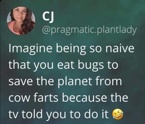 imagine being