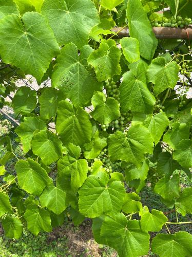 D5AC2E7C-C73D-4034-9B82-A14BA3C14851