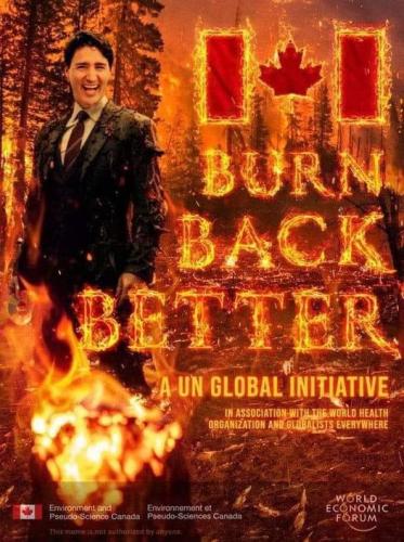 burn back better