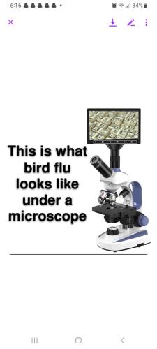 Screenshot_20240602_181640_Messenger