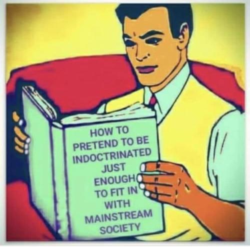 Screenshot_20240625_021455_Facebook