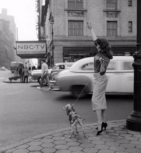 IMG_20240622_085119_710