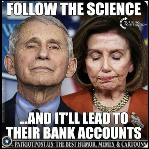 image_3D46494D-FB9E-4168-B8F9-49DB62AA997B