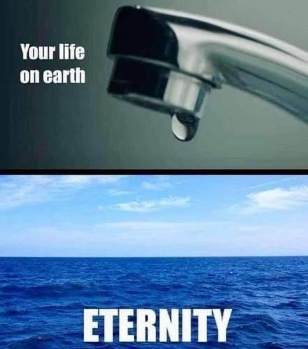 488c02d4-6e54-4ef6-b1ec-02eaccf9b868