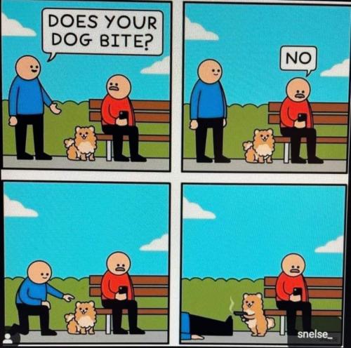 image_65CBC369-3EF5-4246-8927-30FF0F08191C