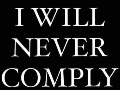 FB_IMG_1717287795866