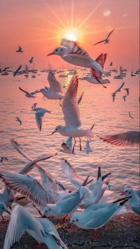 img-d6d6181d