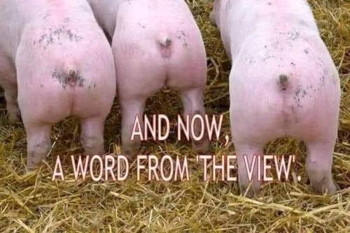 447776832_10227792221965003_8360260098338117903_n